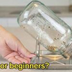 Pearl Jars Sprouting Starter Kit met glazen pot in metalen standaard op opvangschaal, zaden aan het uitlekken op aanrecht