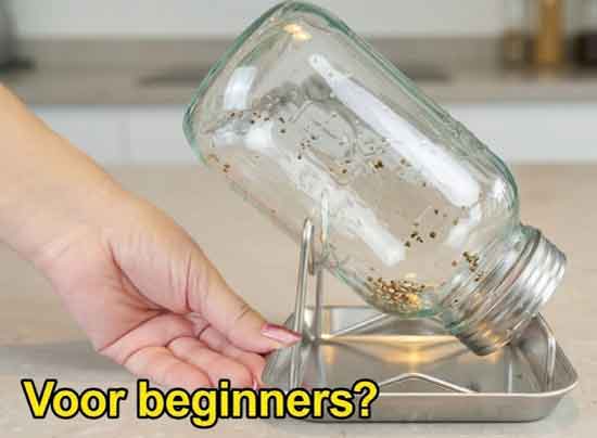 Pearl Jars Sprouting Starter Kit met glazen pot in metalen standaard op opvangschaal, zaden aan het uitlekken op aanrecht